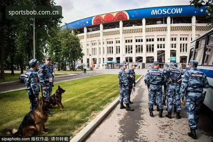半岛体育注册网址教程 世界杯安保为何仅派三名英国警员?在半岛体育bob看赛事背后的博弈
